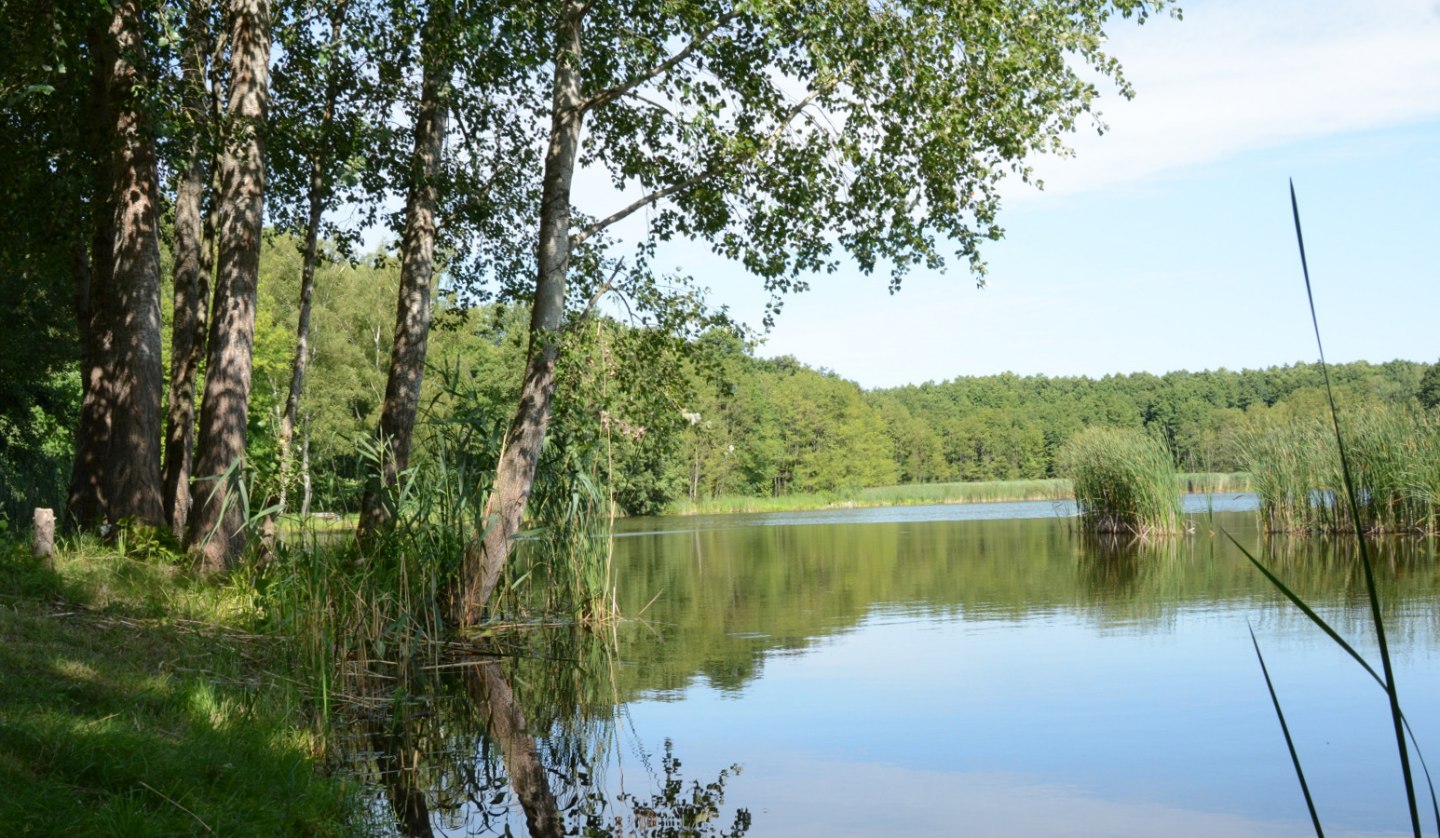 Carp ponds near Voigtsdorf, © Tourismusverband Mecklenburg-Schwerin