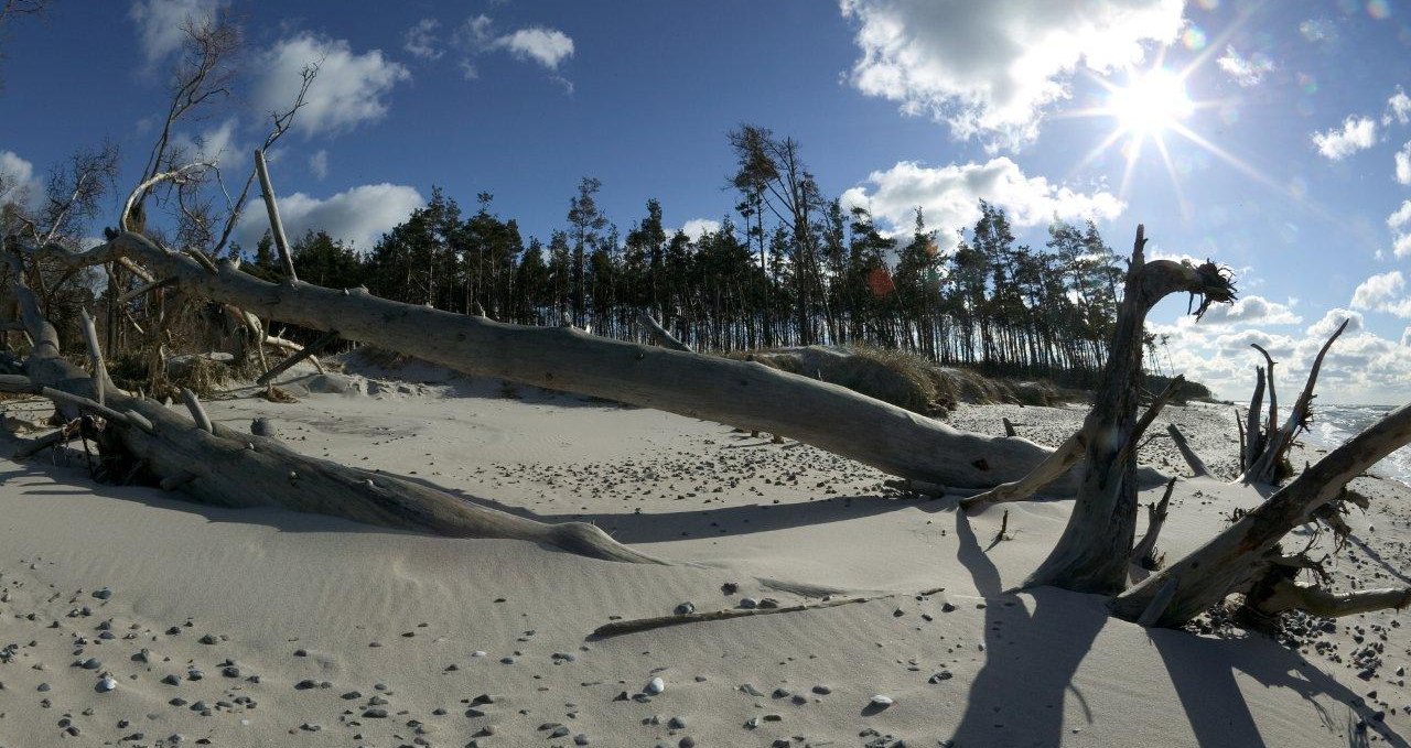 West Beach, © Uwe Engler