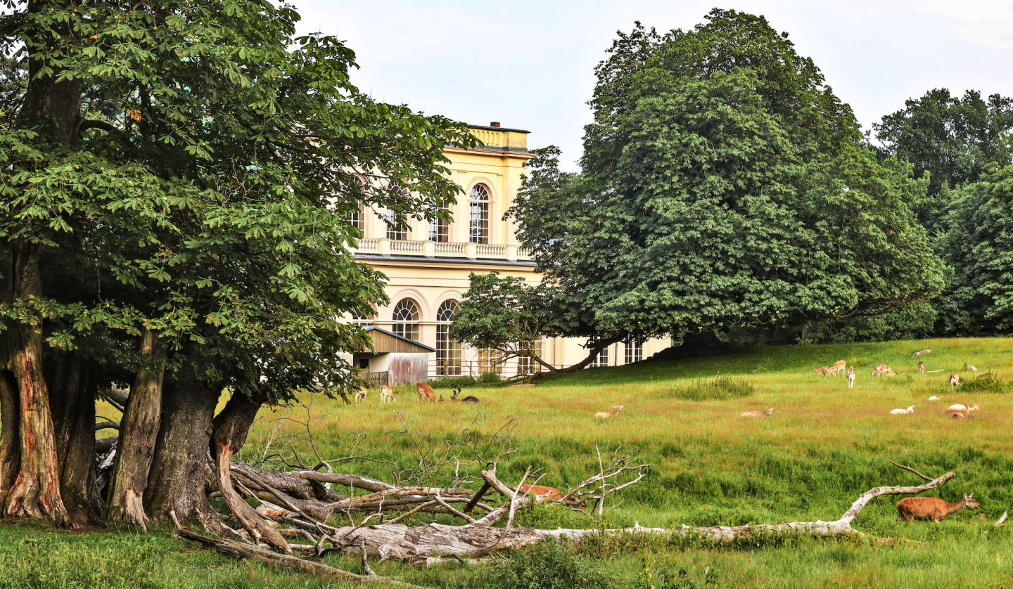 lock-save-to-putbus_1, © TMV/Gohlke